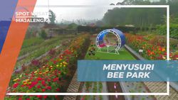 Menyusuri Taman Bunga Cantik di Bee Park Majalengka