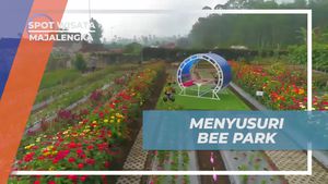 Menyusuri Taman Bunga Cantik di Bee Park Majalengka