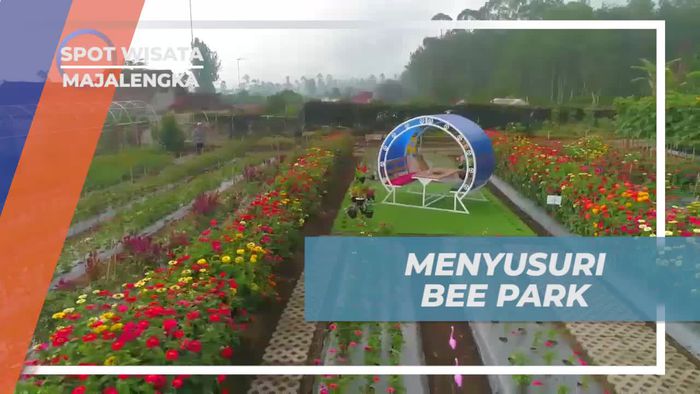 Menyusuri Taman Bunga Cantik di Bee Park Majalengka