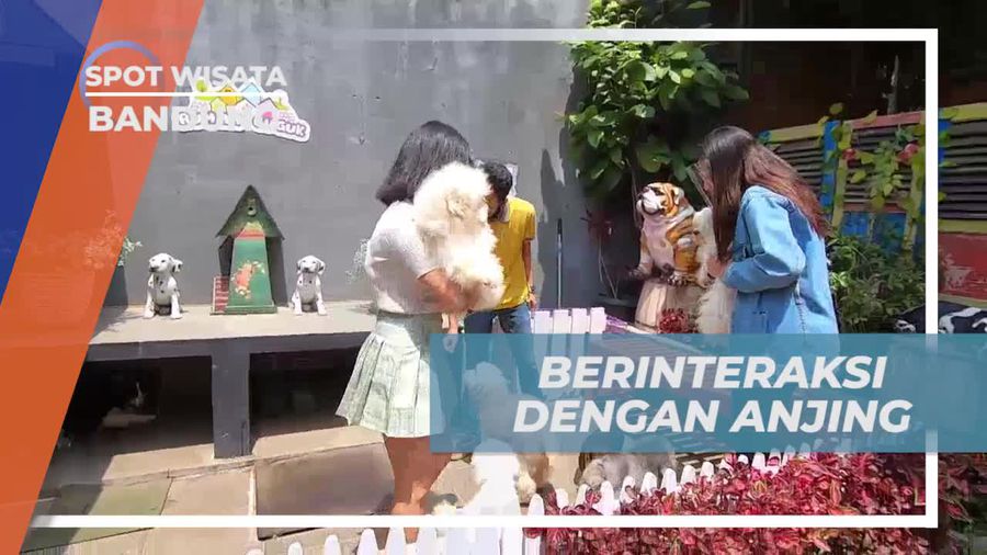 Berinteraksi dengan Anjing di Rumah Guguk Bandung