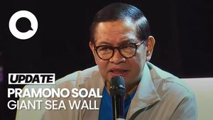 Video: Pramono Bicara Soal Anggaran Giant Sea Wall Sepanjang 19 Km