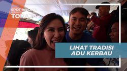 Menyaksikan Tradisi Adu Kerbau Mapasilaga Tedong di Toraja