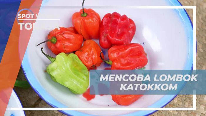 Mencicipi dan Memasak Lombok Katokkom Khas Toraja