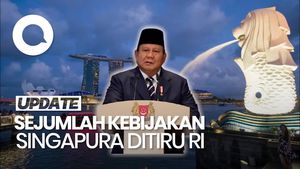 Video RI Tiru Kebijakan Singapura: Bangun Rumah Murah-Bikin Danantara