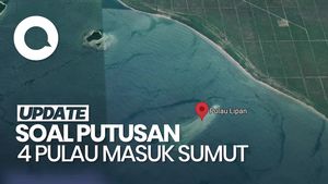 Video: Wamendagri Sebut Putusan 4 Pulau Masuk Sumut Bisa Berubah