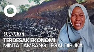 Video: Viral Emak-emak di Tasikmalaya Histeris Minta Tambang Ilegal Dibuka