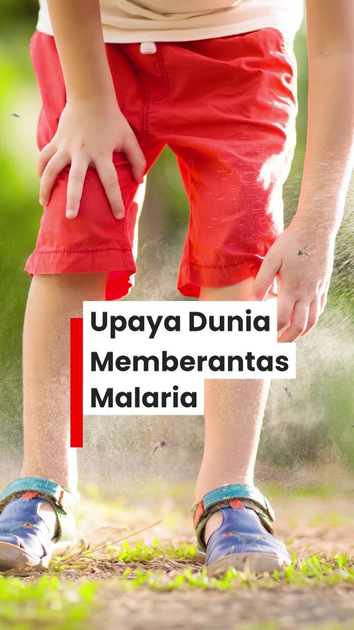 Video: Indonesia Pimpin Negara Asia-Pasifik Bebas Malaria Tahun 2030
