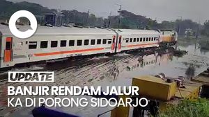 Video: Banjir Rendam Jalur KA di Porong Sidoarjo, Perjalanan Terganggu
