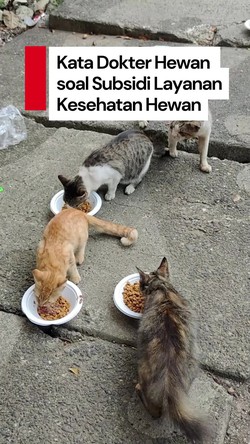 Video: Catatan Terkait Wacana Subsidi Layanan Kesehatan Hewan