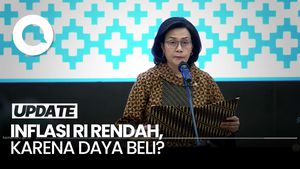 Video Sri Mulyani soal Inflasi RI Rendah: Tak Terkait dengan Daya Beli