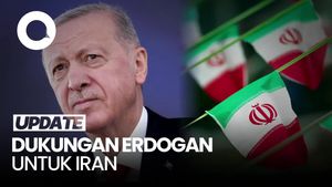 Video Erdogan: Iran Membela Diri dari Israel, Wajar dan Sah