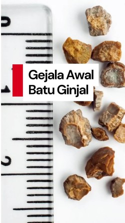 Video: Hati-hati! Inilah Gejala Awal Penderita Batu Ginjal