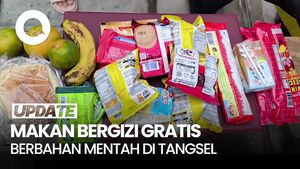 Video Heboh Menu MBG di Tangsel Berbahan Mentah: Ada Beras hingga Biskuit