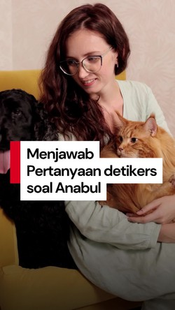 Video Dokter Hewan Jawab Pertanyaan Detikers: Ancom hingga Misdiagnosis