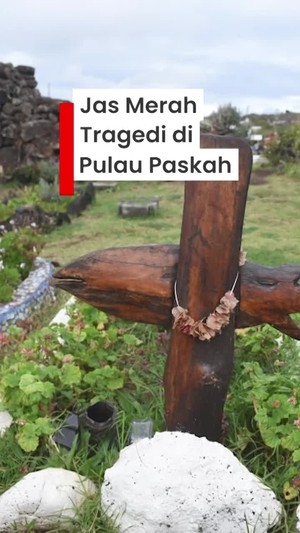 Video Belajar dari Tragedi Hilangnya Hutan Pulau Paskah Imbas Deforestasi