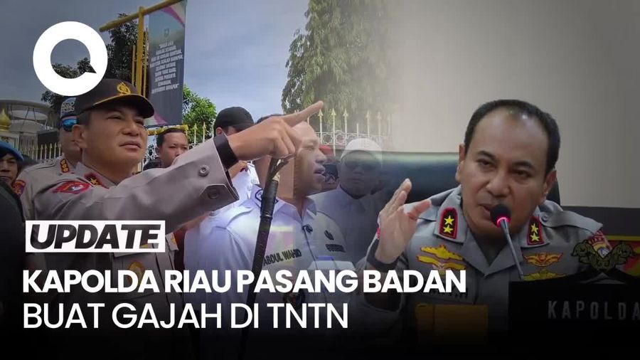 Video Kapolda Riau Soal TNTN: Saya Mewakili Gajah yang Rumahnya Diganggu!
