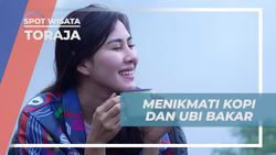 Menikmati Kopi dan Ubi Bakar di Puncak Lolai Totombi, Toraja  