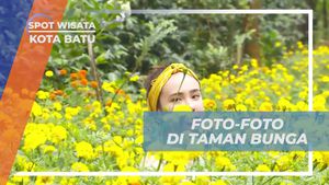 Berfoto di Taman Bunga Pagupon dan Mengabadikan Keindahannya, Kota Batu  