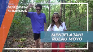 Menjelajahi Pulau Moyo dan Keindahan Alamnya di Sumbawa  