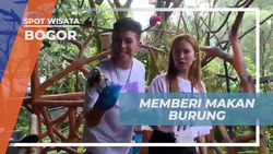 Memberi Makan Burung di Taman Safari Bogor