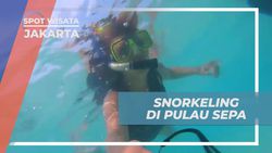Snorkeling dan Menyelami Kehidupan Bawah Laut di Pulau Sepa, Jakarta  