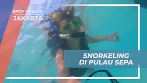 Snorkeling dan Menyelami Kehidupan Bawah Laut di Pulau Sepa, Jakarta  