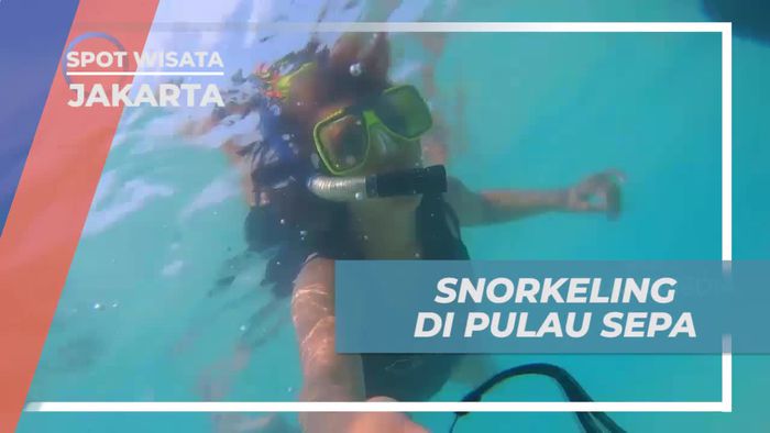 Snorkeling dan Menyelami Kehidupan Bawah Laut di Pulau Sepa, Jakarta  