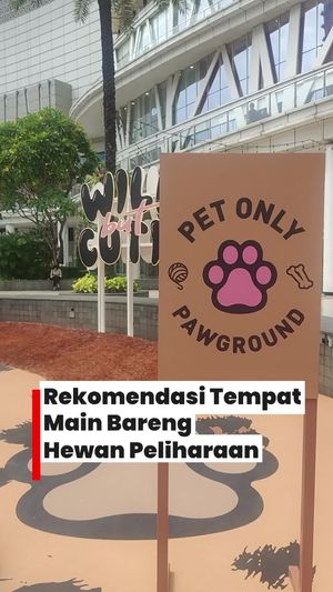 Video: Rekomendasi Tempat Main Bersama Hewan Peliharaan di Instalasi Pop Mart