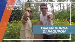 Menjelajahi Taman Bunga yang Cantik di Pagupon, Kota Batu  