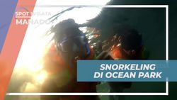 Menyelami Keindahan Bawah Laut dengan Snorkeling di Ocean Park, Manado