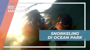 Menyelami Keindahan Bawah Laut dengan Snorkeling di Ocean Park, Manado