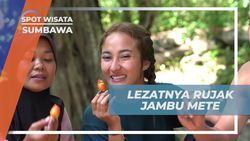 Menikmati Segarnya Rujak Jambu Mete Setelah Panen di Sumbawa  