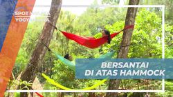 Bersantai di Atas Hammock dan Menikmati Udara Sejuk di Hutan Pinus, Yogyakarta  