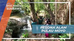 Menyaksikan Keindahan Alam Pulau Moyo dan Air Terjun Diwu Mbai, Sumbawa  