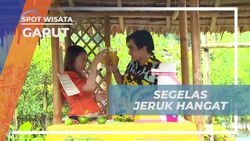 Menyajikan Segelas Jeruk Hangat dan Menikmati Sensasi Rasa Segar di Garut  