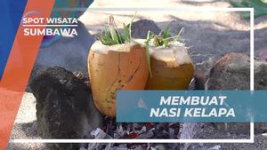 Membuat dan Menikmati Nasi Kelapa Khas Pulau Moyo, Sumbawa  