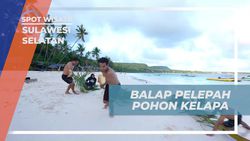 Mengikuti Serunya Balap Pelepah Pohon Kelapa di Pantai Bara, Sulawesi Selatan  