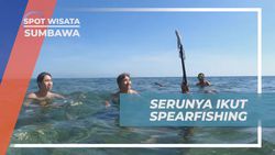 Menyelami Serunya Spearfishing di Laut Pulau Moyo, Sumbawa  