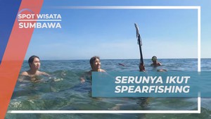 Menyelami Serunya Spearfishing di Laut Pulau Moyo, Sumbawa  