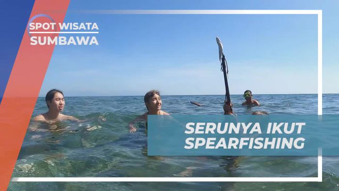 Menyelami Serunya Spearfishing di Laut Pulau Moyo, Sumbawa  