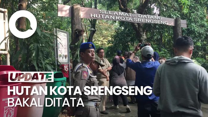 Video: Hutan Kota Srengseng Bakal Ditata Agar Bisa Dipakai Acara Budaya