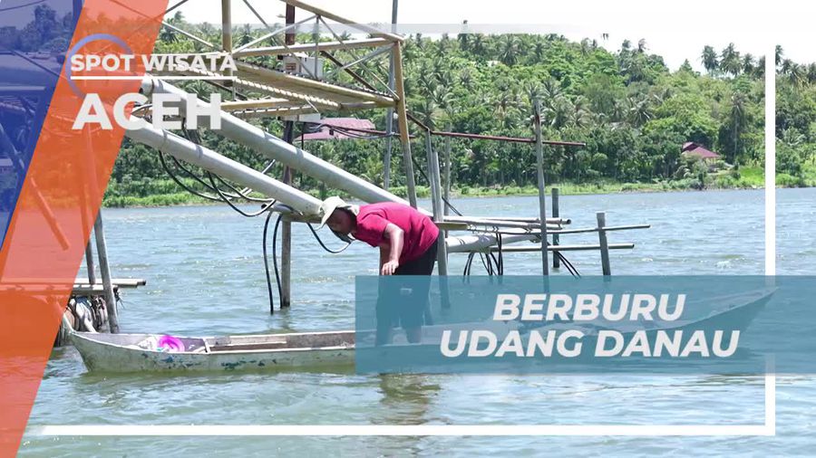 Berburu Udang danau di Aceh Bersama Warga Lokal  
