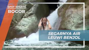 Merasakan Segarnya Air Terjun Kecil di Leuwi Benjol Bogor  