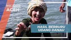 Merasakan Hasil Buruan Udang di Danau Aneuk Laot yang Melimpah di Aceh  