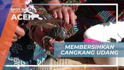 Membersihkan Cangkang Udang untuk Memasak Makanan Khas Aceh di Aceh  