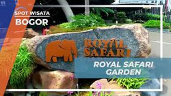 Menjelajahi Keindahan dan Kegiatan Menarik di Royal Safari Garden Bogor  