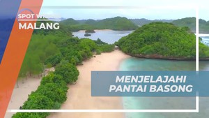 Bermain dan Bersantai di Pantai Basong Malang yang Indah dan Jernih  