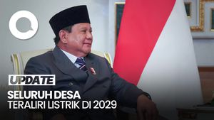 Video: Prabowo Targetkan Seluruh Desa di RI Teraliri Listrik pada 2029
