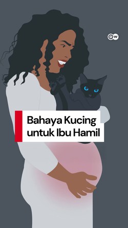 Video: Benarkah Kucing Berbahaya buat Ibu Hamil?