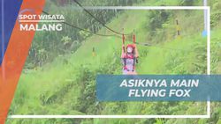 Menikmati Serunya Flying Fox di Lembah Malang dan Rasakan Udara Segar yang Menyegarkan  